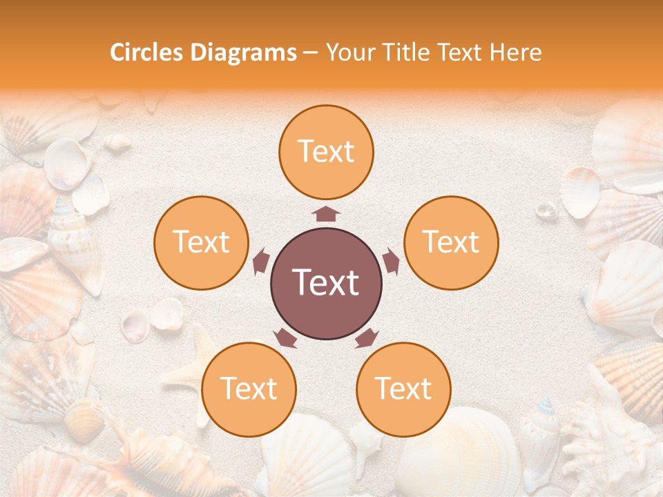 Seashell Summer Dry PowerPoint Template