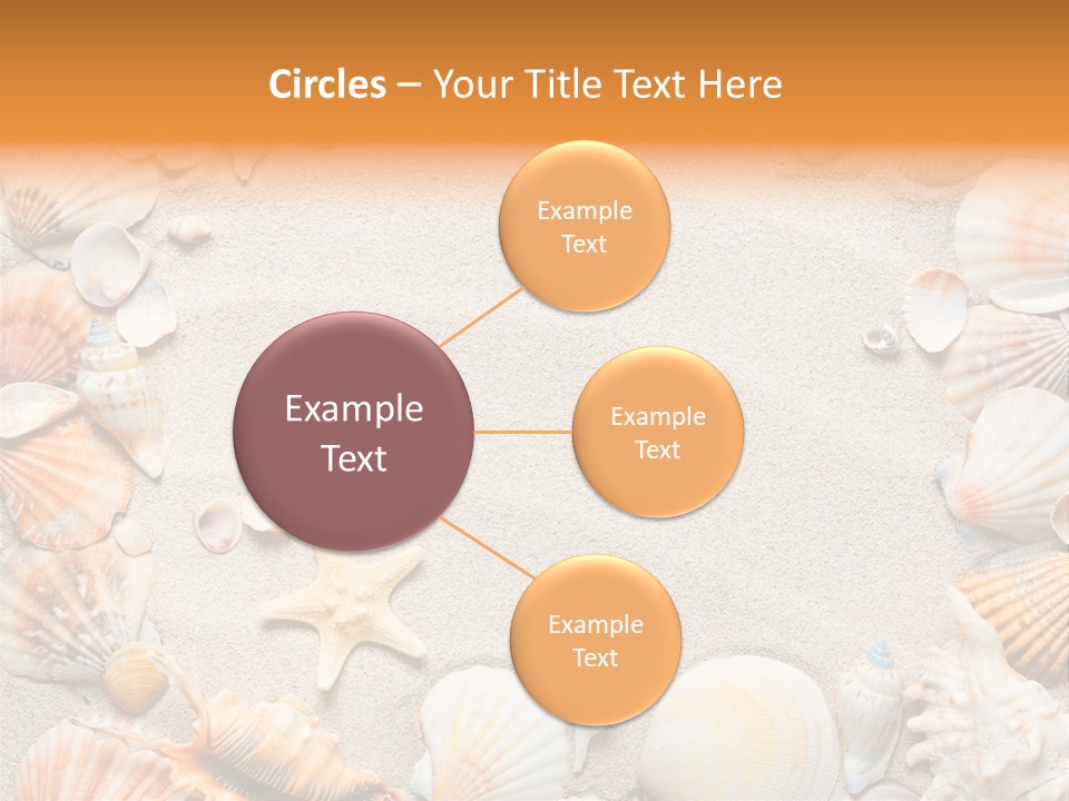 Seashell Summer Dry PowerPoint Template