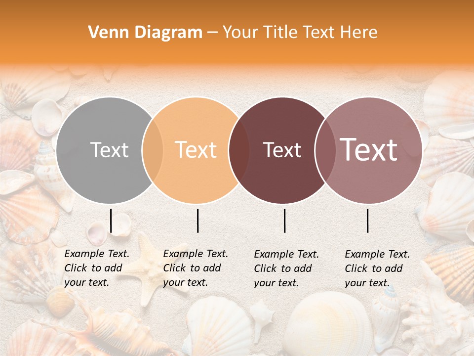 Seashell Summer Dry PowerPoint Template
