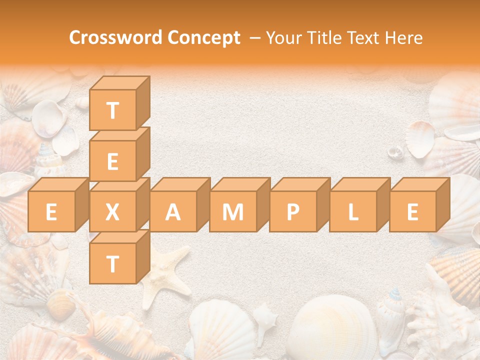 Seashell Summer Dry PowerPoint Template