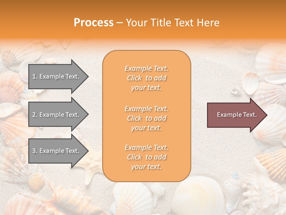 Seashell Summer Dry PowerPoint Template