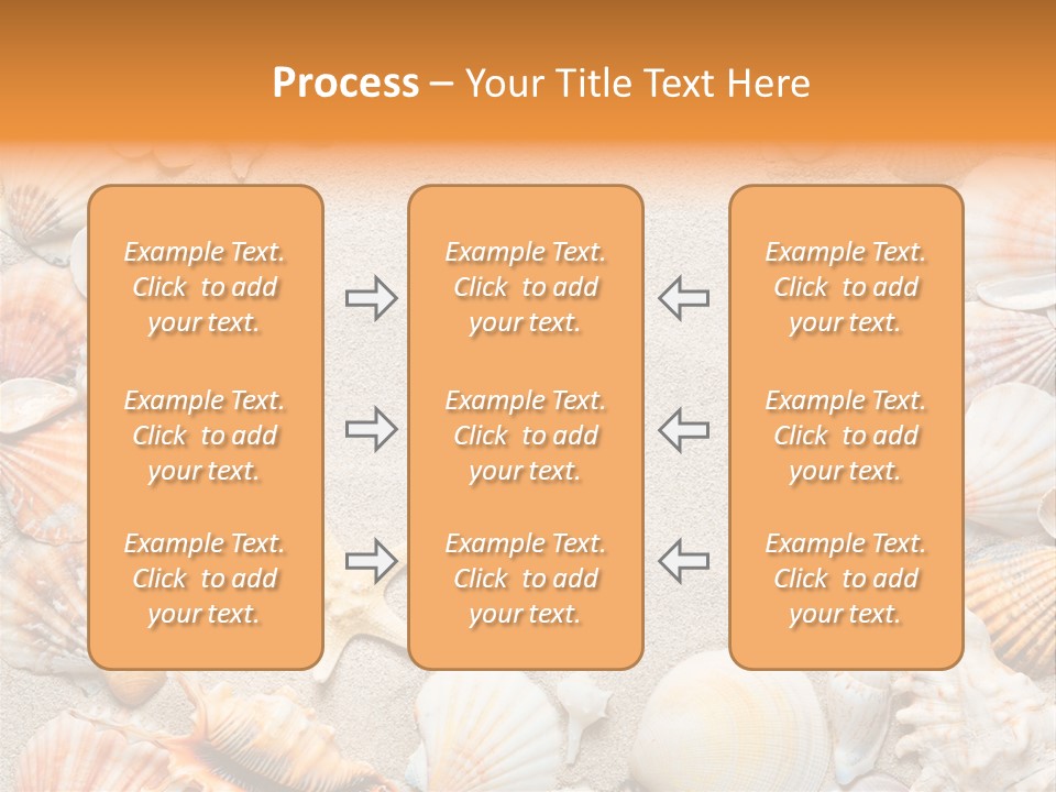 Seashell Summer Dry PowerPoint Template