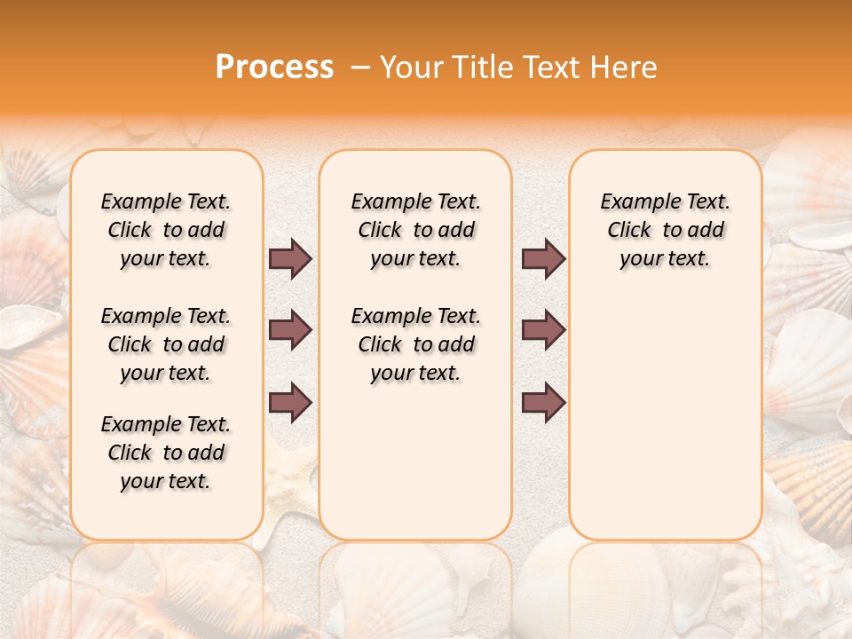 Seashell Summer Dry PowerPoint Template