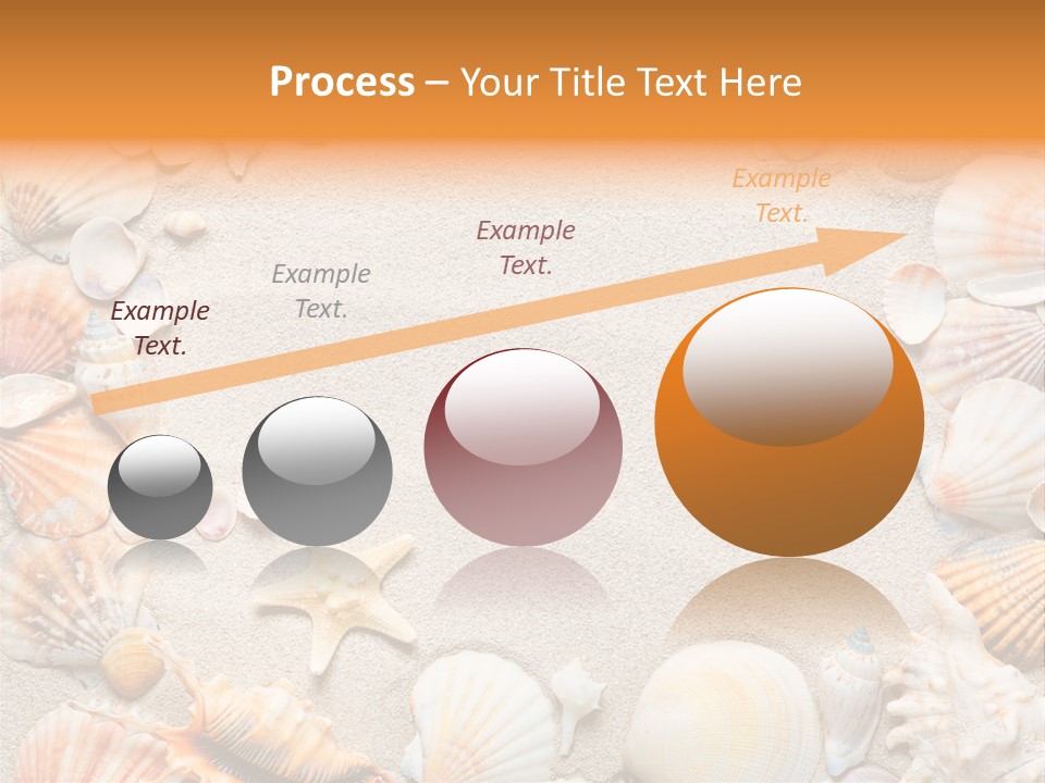 Seashell Summer Dry PowerPoint Template