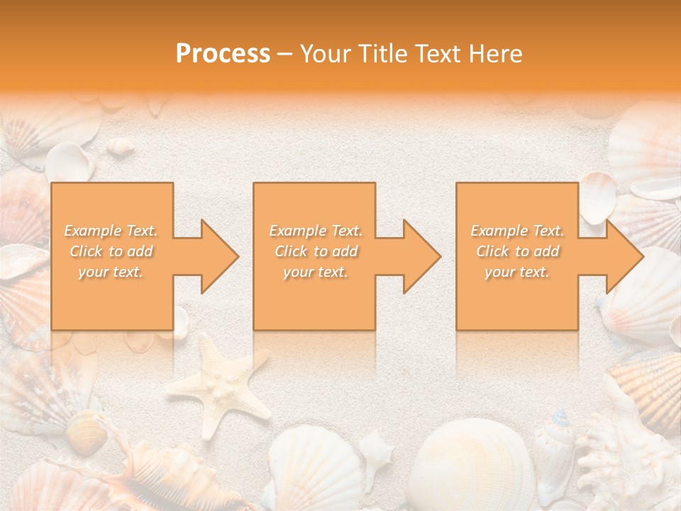Seashell Summer Dry PowerPoint Template