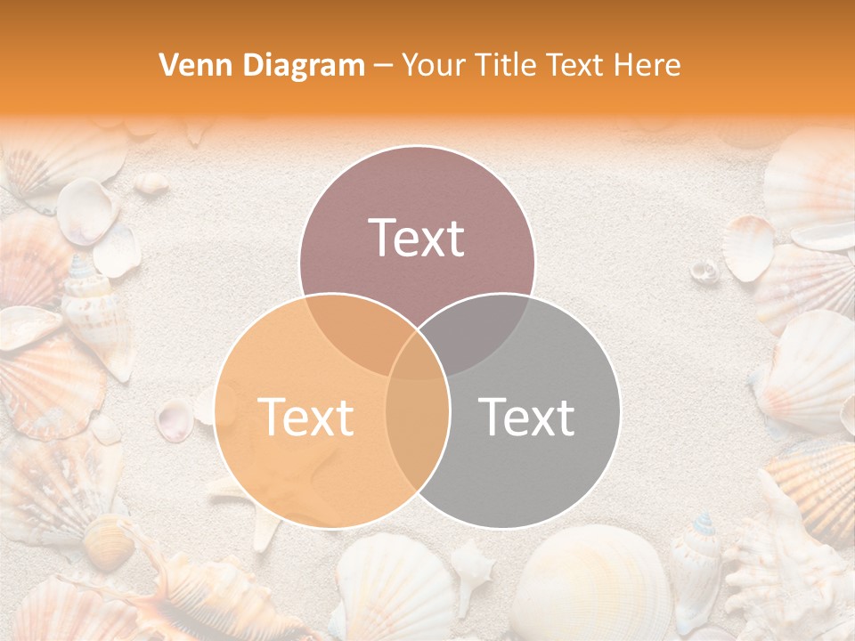 Seashell Summer Dry PowerPoint Template