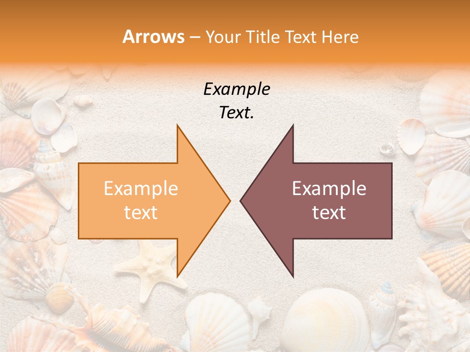 Seashell Summer Dry PowerPoint Template
