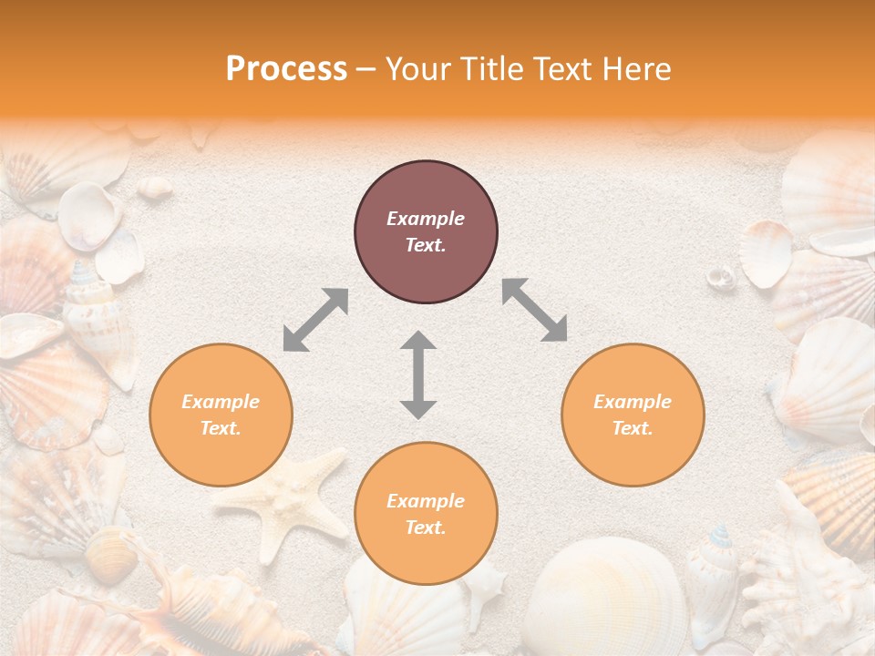 Seashell Summer Dry PowerPoint Template