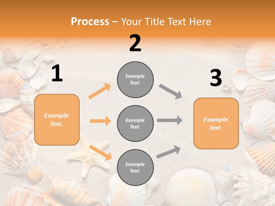 Seashell Summer Dry PowerPoint Template
