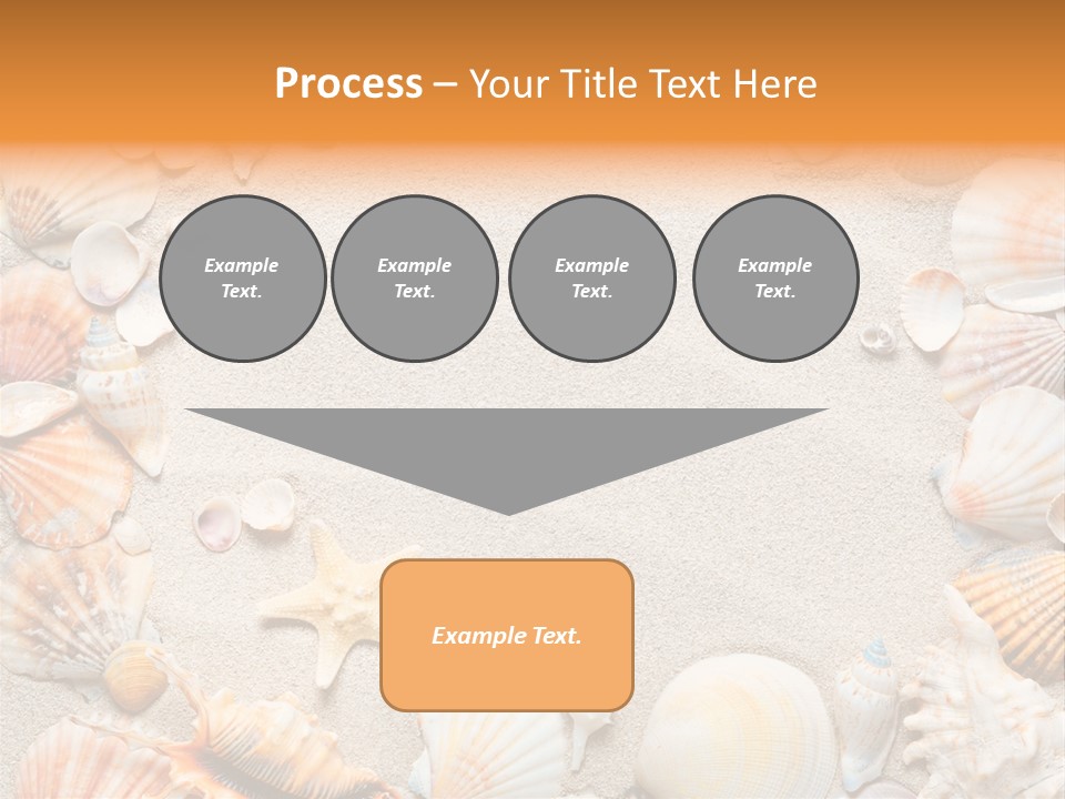 Seashell Summer Dry PowerPoint Template