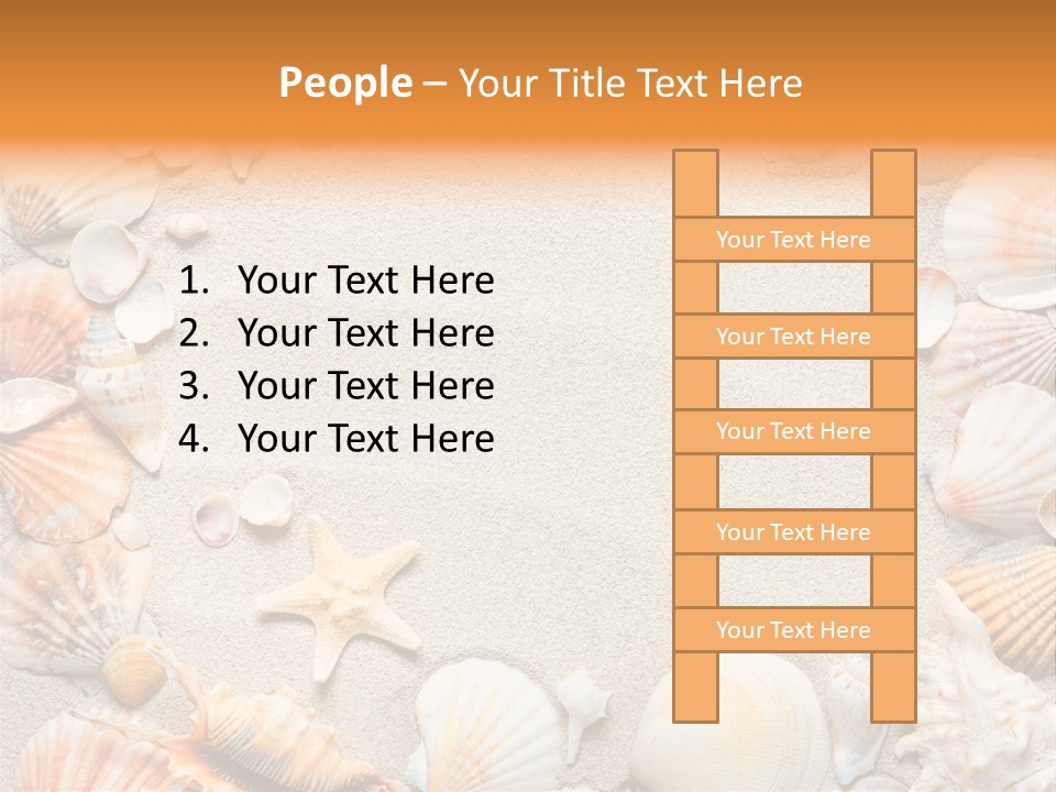 Seashell Summer Dry PowerPoint Template