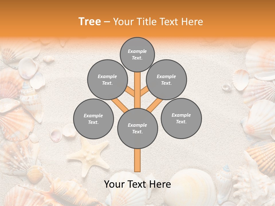 Seashell Summer Dry PowerPoint Template