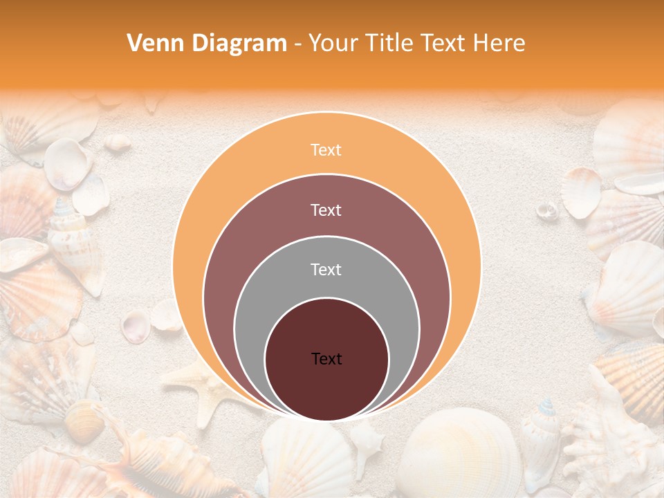 Seashell Summer Dry PowerPoint Template
