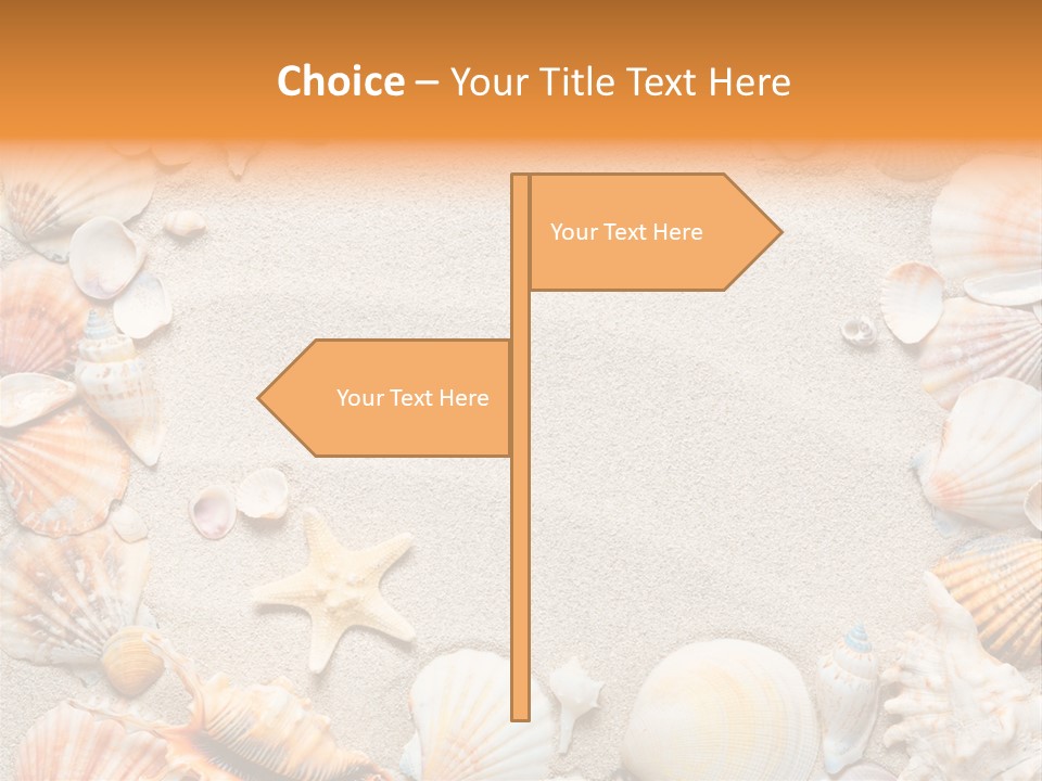 Seashell Summer Dry PowerPoint Template