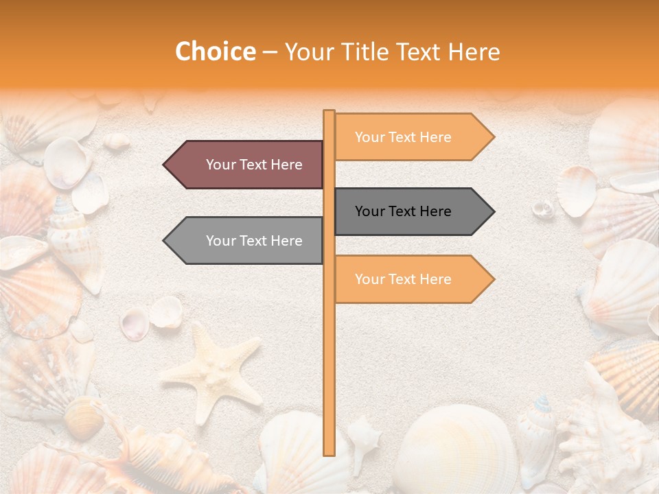 Seashell Summer Dry PowerPoint Template