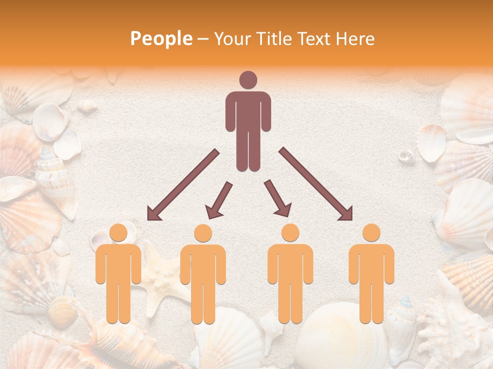 Seashell Summer Dry PowerPoint Template