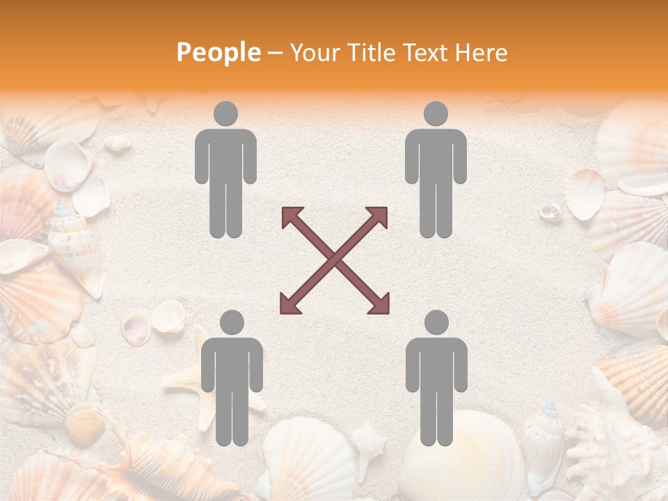 Seashell Summer Dry PowerPoint Template