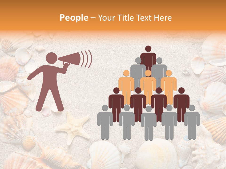 Seashell Summer Dry PowerPoint Template