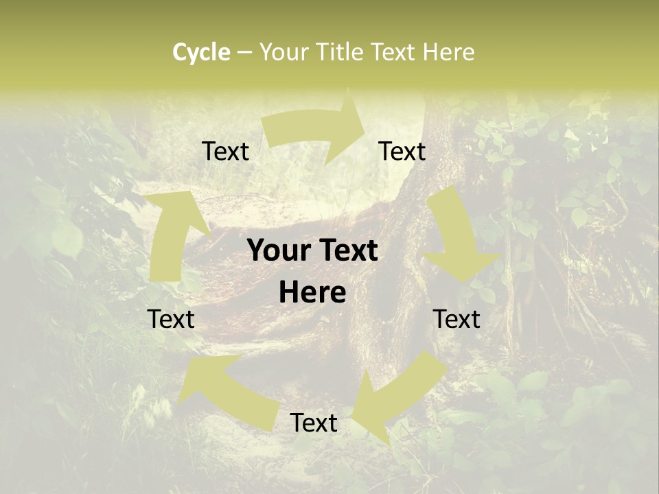 Land Park Season PowerPoint Template