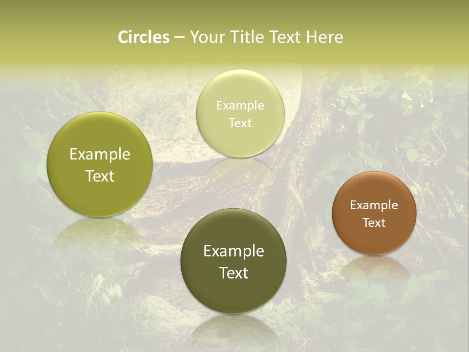 Land Park Season PowerPoint Template