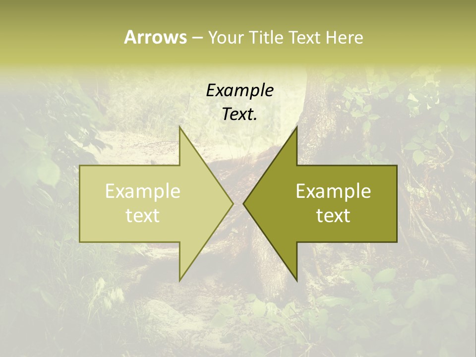 Land Park Season PowerPoint Template