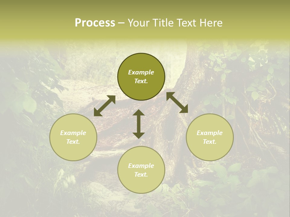 Land Park Season PowerPoint Template