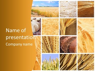 Harvest Nature Collage PowerPoint Template
