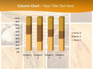 Harvest Nature Collage PowerPoint Template
