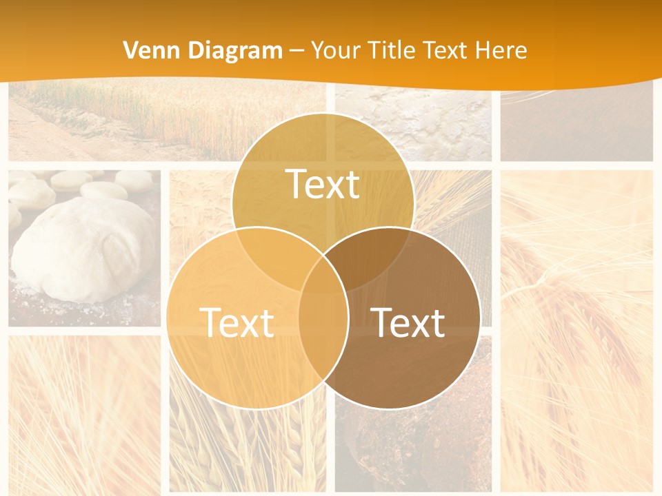 Harvest Nature Collage PowerPoint Template