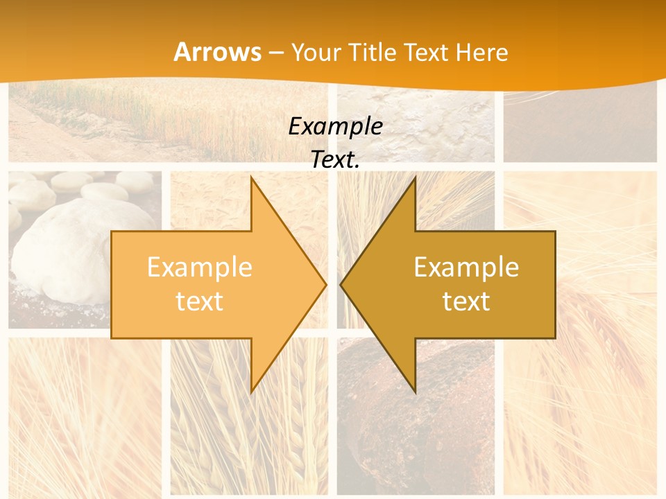 Harvest Nature Collage PowerPoint Template
