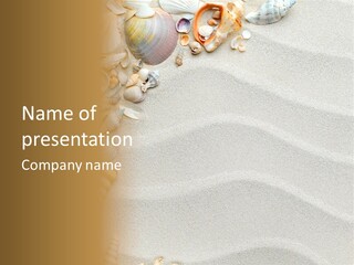 Nature Shore Conch PowerPoint Template