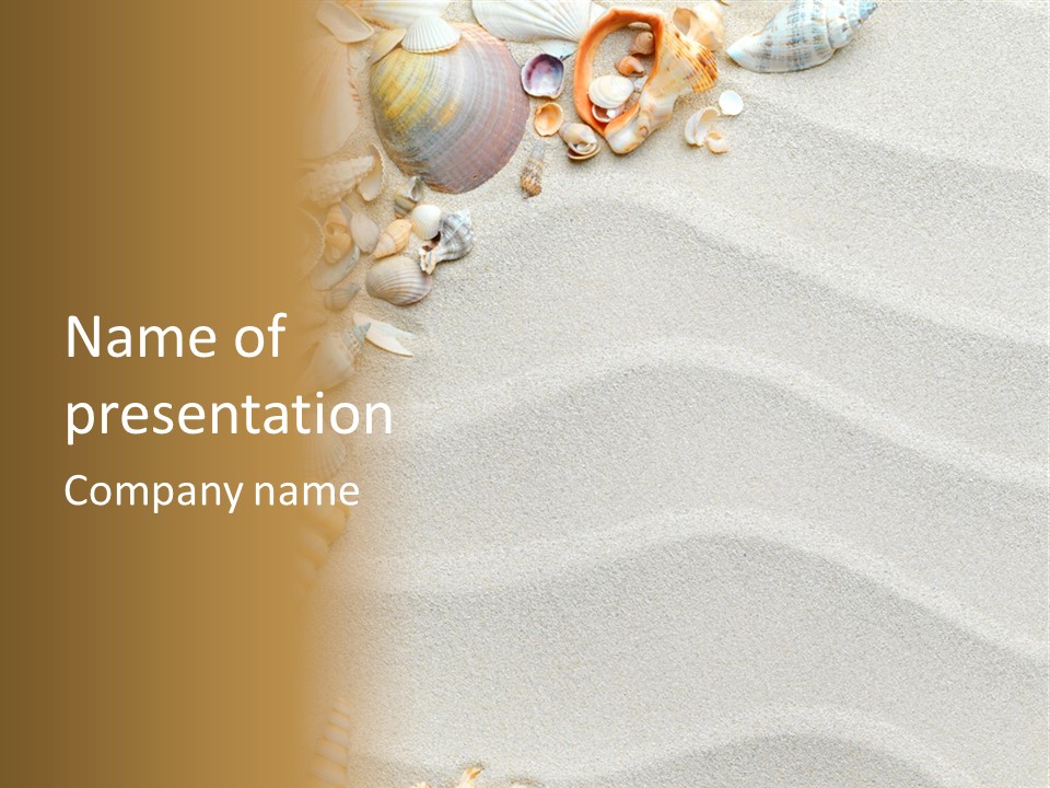 Nature Shore Conch PowerPoint Template