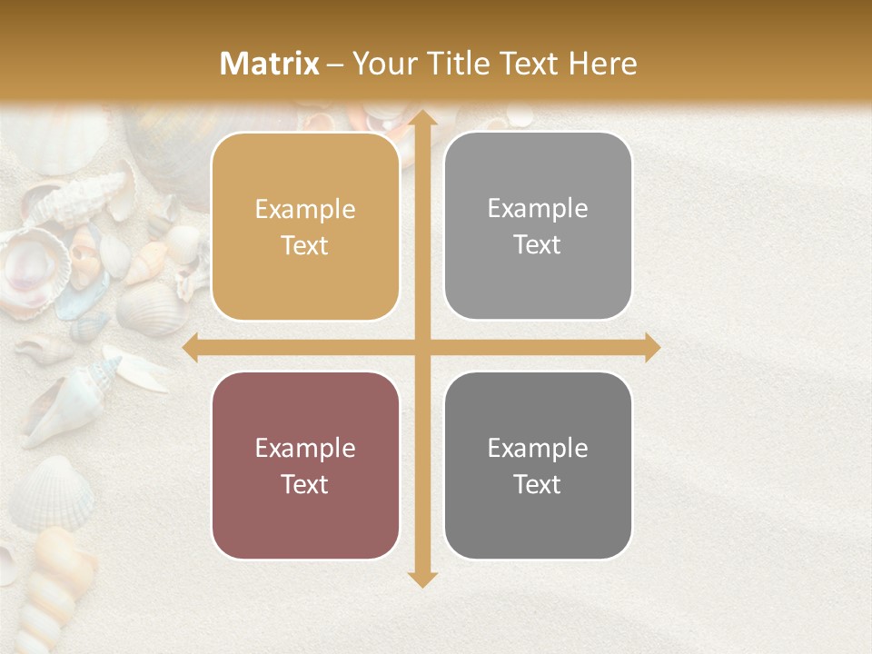 Nature Shore Conch PowerPoint Template