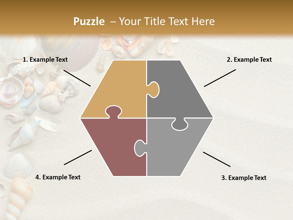 Nature Shore Conch PowerPoint Template