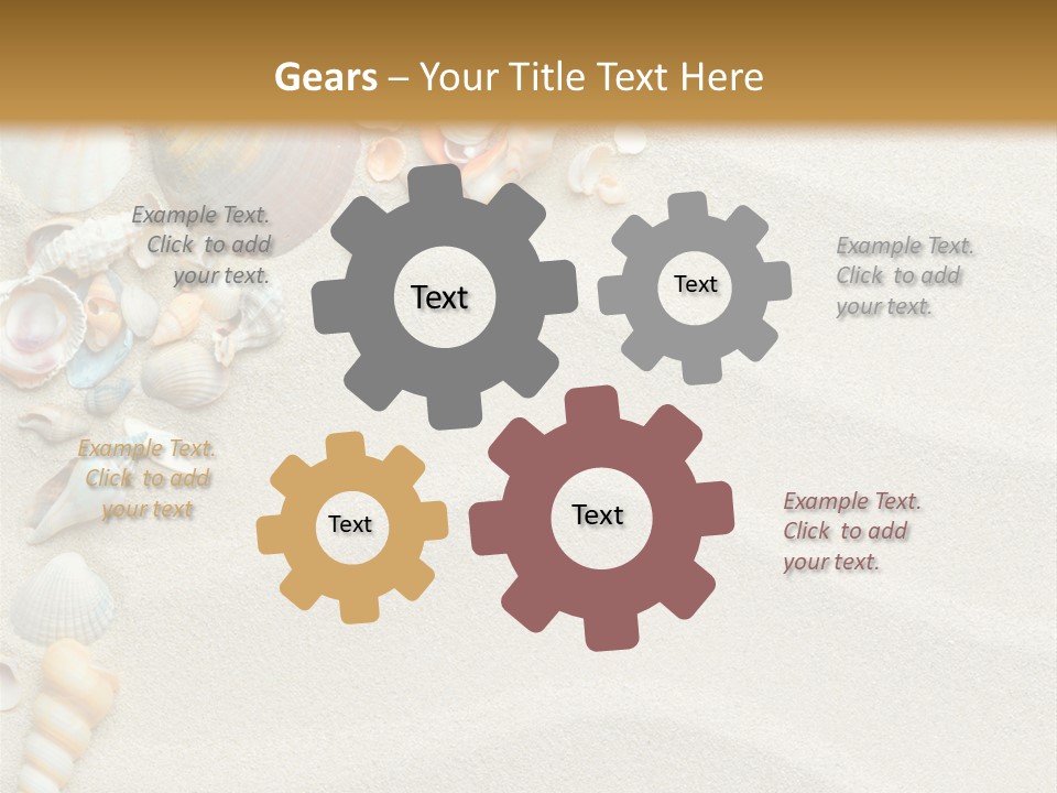 Nature Shore Conch PowerPoint Template