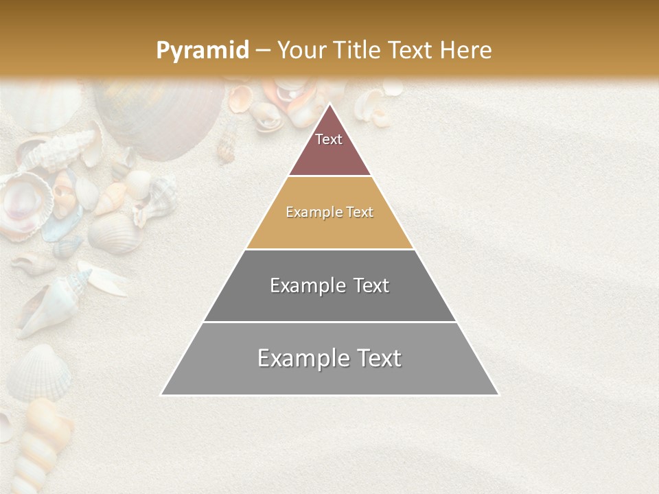 Nature Shore Conch PowerPoint Template