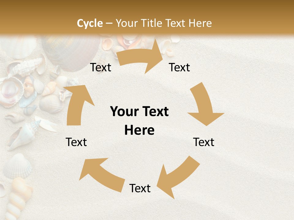 Nature Shore Conch PowerPoint Template