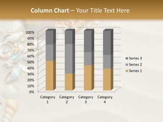 Nature Shore Conch PowerPoint Template