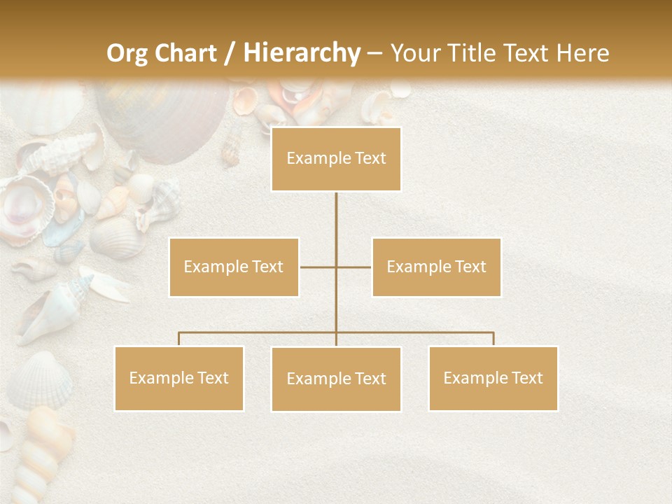 Nature Shore Conch PowerPoint Template