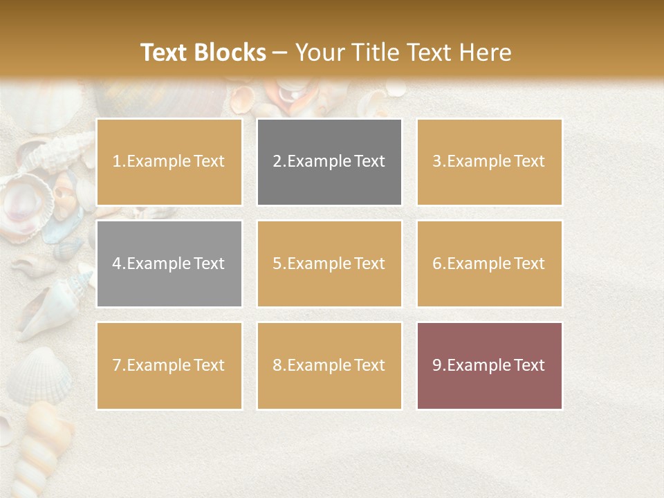 Nature Shore Conch PowerPoint Template