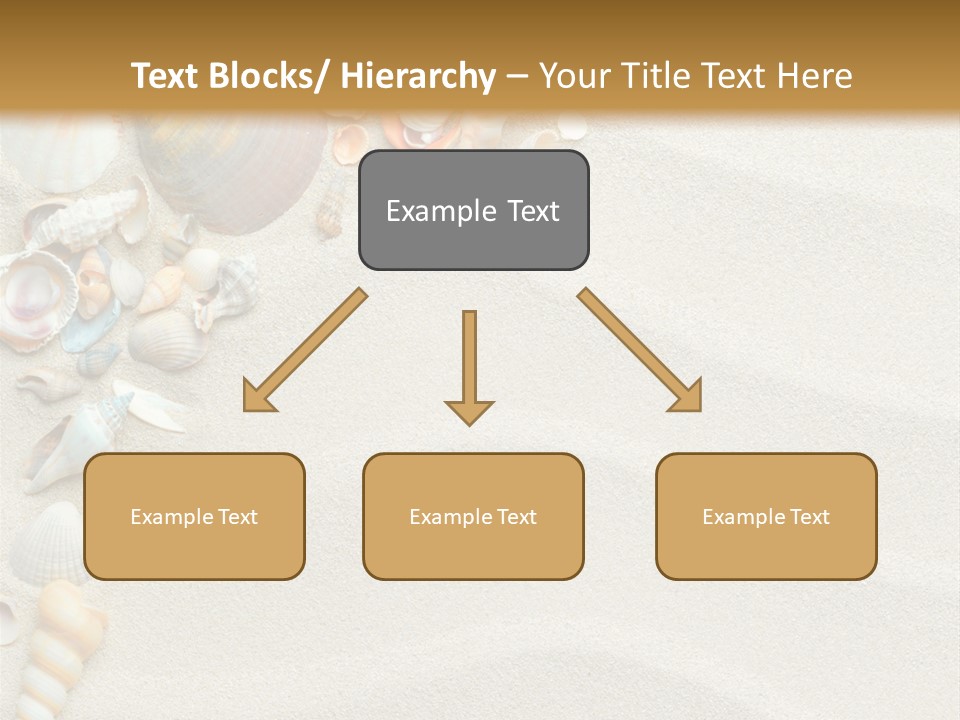 Nature Shore Conch PowerPoint Template