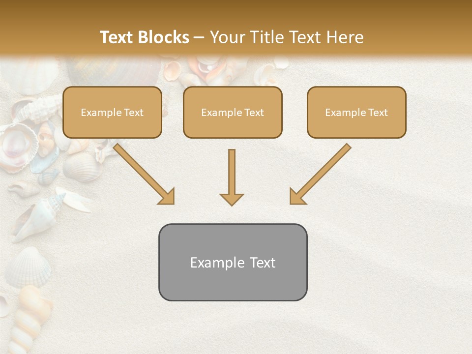 Nature Shore Conch PowerPoint Template