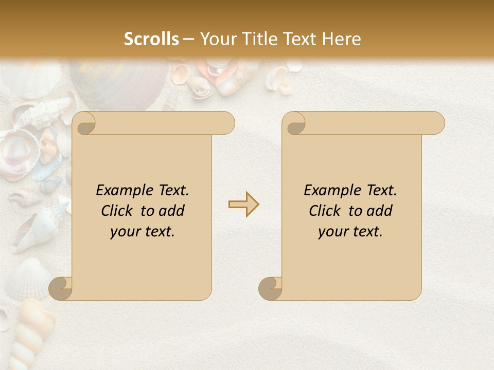 Nature Shore Conch PowerPoint Template