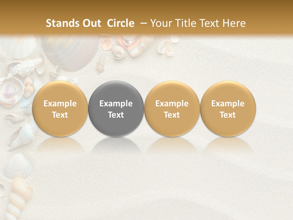 Nature Shore Conch PowerPoint Template