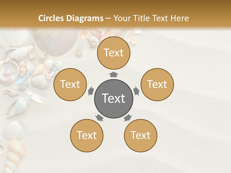 Nature Shore Conch PowerPoint Template