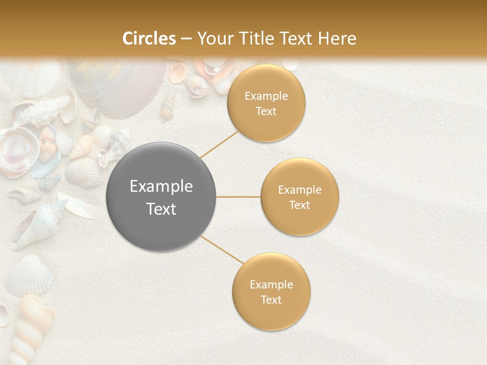 Nature Shore Conch PowerPoint Template