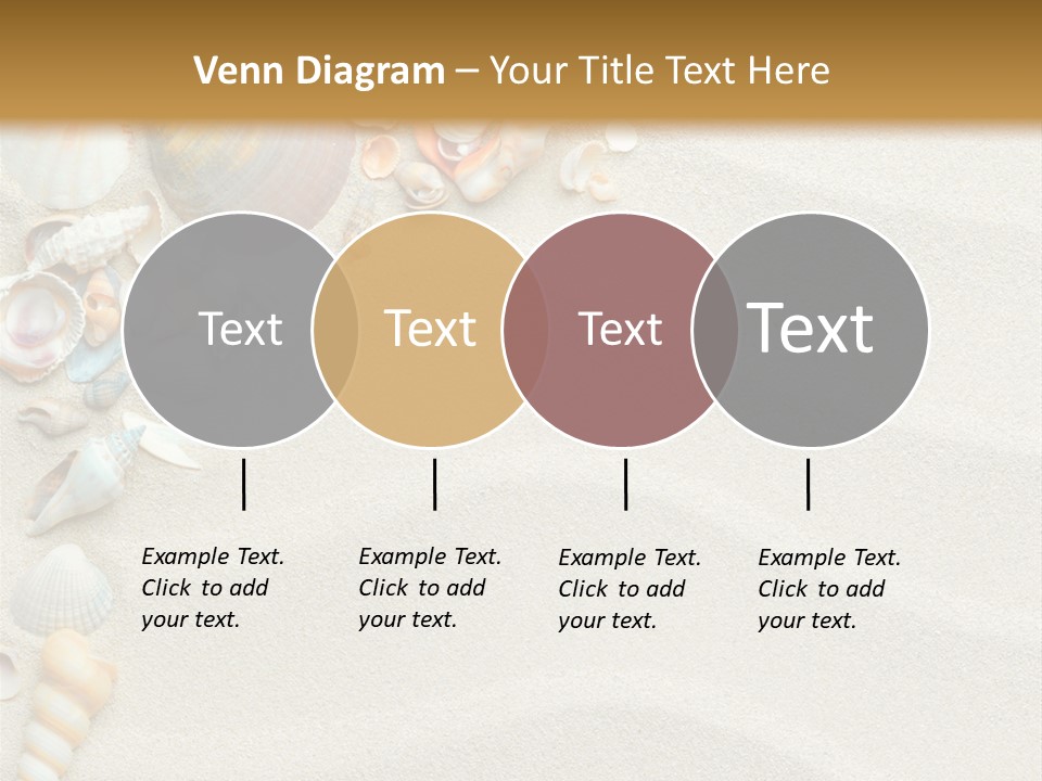 Nature Shore Conch PowerPoint Template