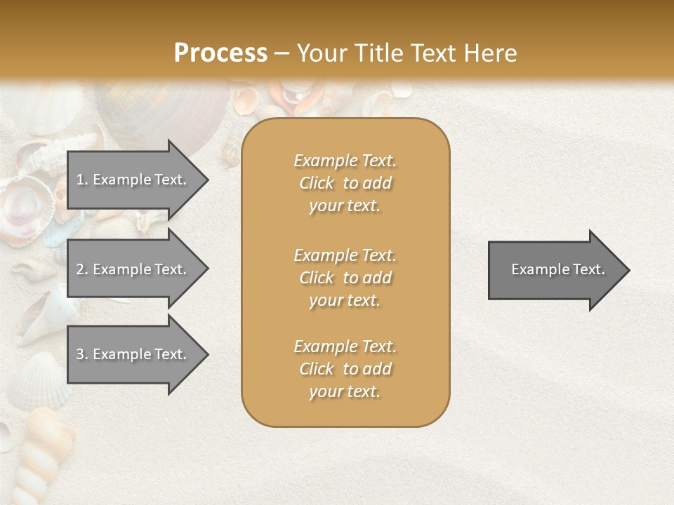 Nature Shore Conch PowerPoint Template