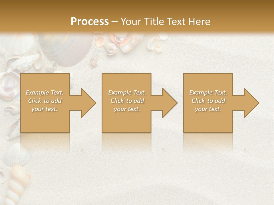 Nature Shore Conch PowerPoint Template