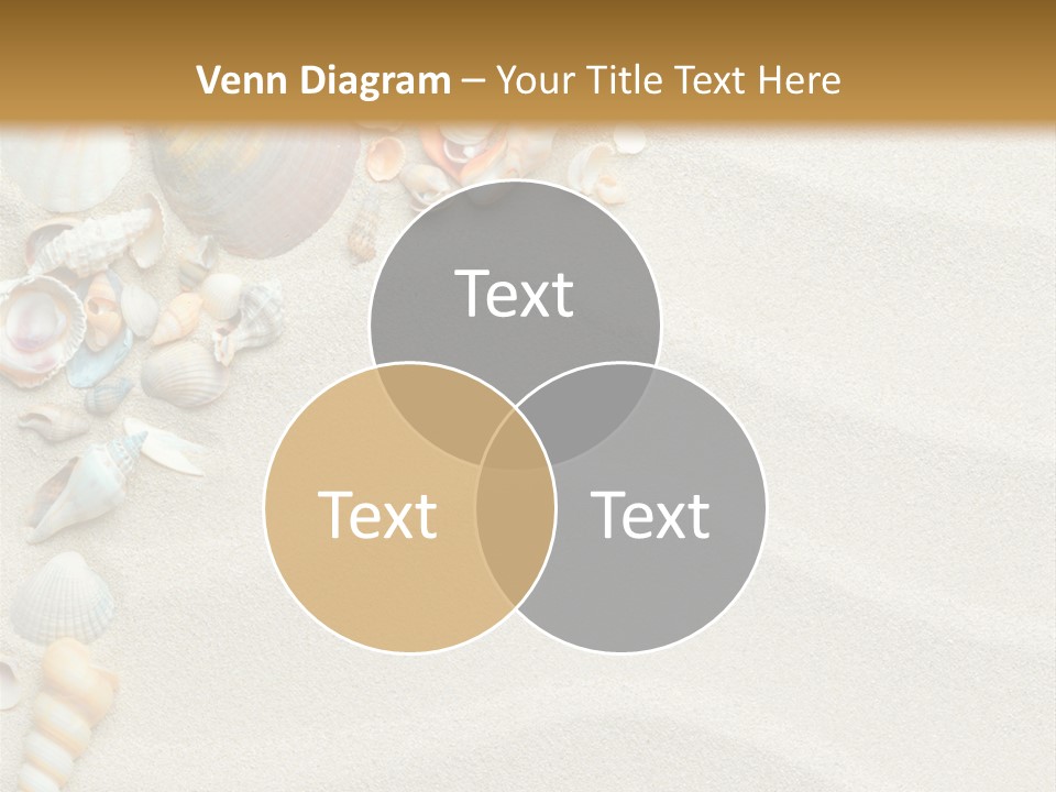 Nature Shore Conch PowerPoint Template